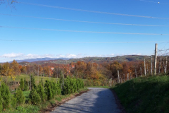 20191118_102424-Small