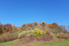 20191118_105111-Small