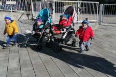 IMG_20200206_103727