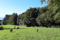 20200930_101314-Small