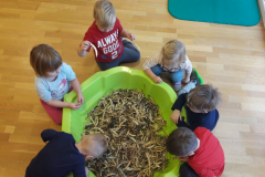 IMG-7978f3a7156391f77d6976f8abc0e2dd-V