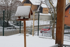 20190123_081639