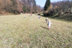 IMG_20210225_103048-Small
