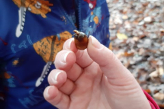 20191115_101544-Small