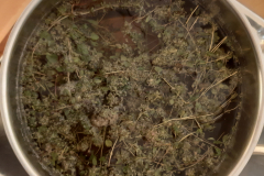 20191218_092635