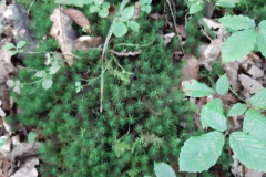 20191008_100416-Small