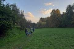20191017_172413-Small