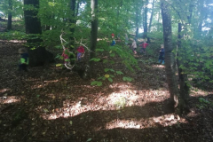 IMG_20201006_094503-Small