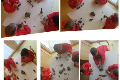 CollageMaker_20211011_201034761-Small